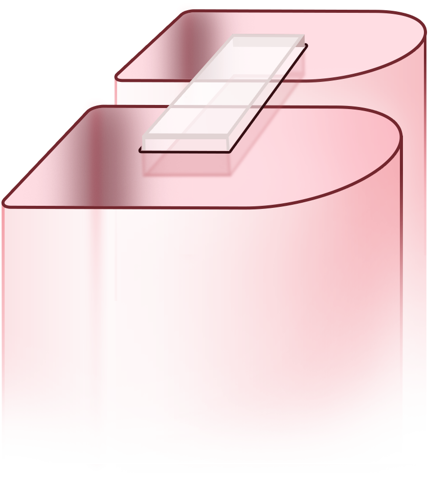 BRIJ 3D Visual
